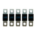 Victron MIDI-Fuse 100A/32V (Package of 5)